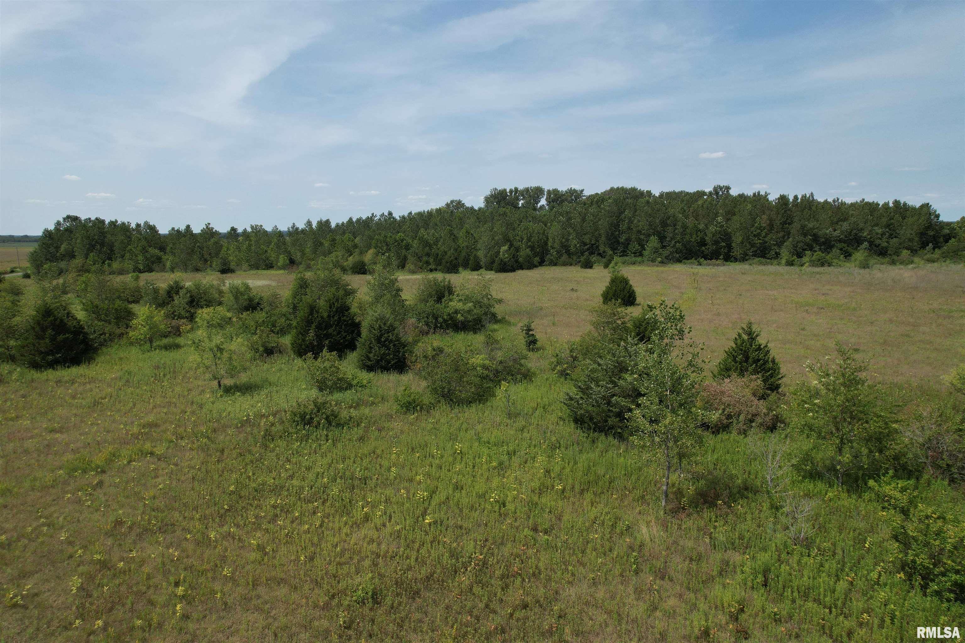 Earl Lovekamp Road Arenzville, IL 62611 - Photo 6 of 14