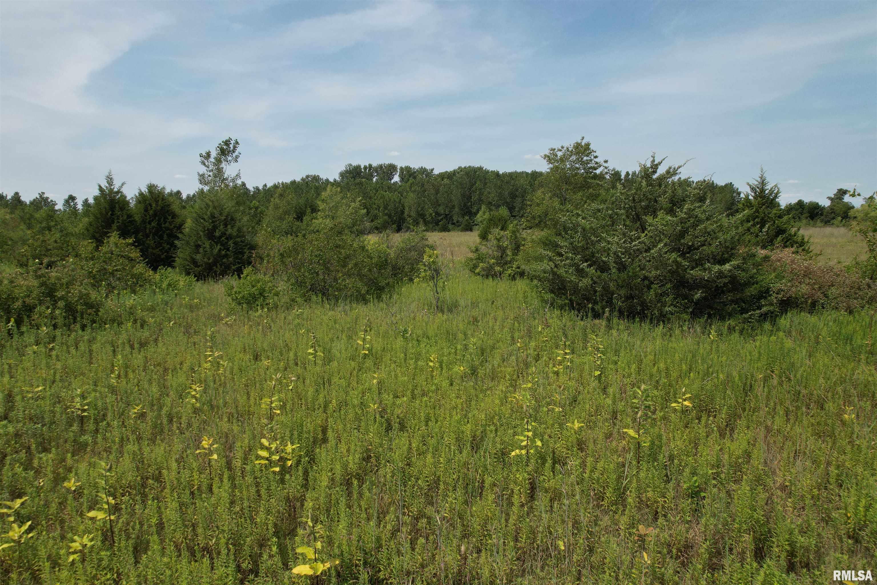 Earl Lovekamp Road Arenzville, IL 62611 - Photo 7 of 14