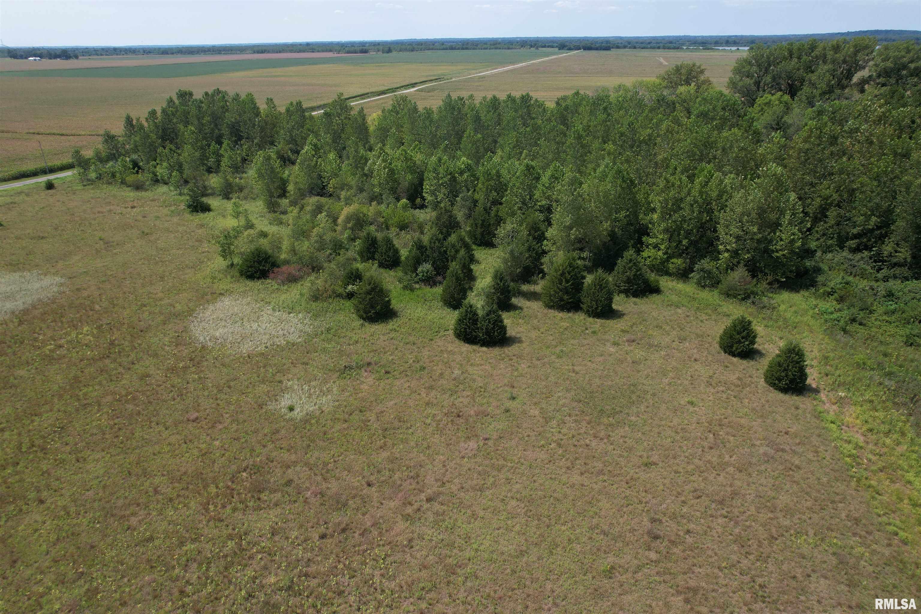 Earl Lovekamp Road Arenzville, IL 62611 - Photo 8 of 14