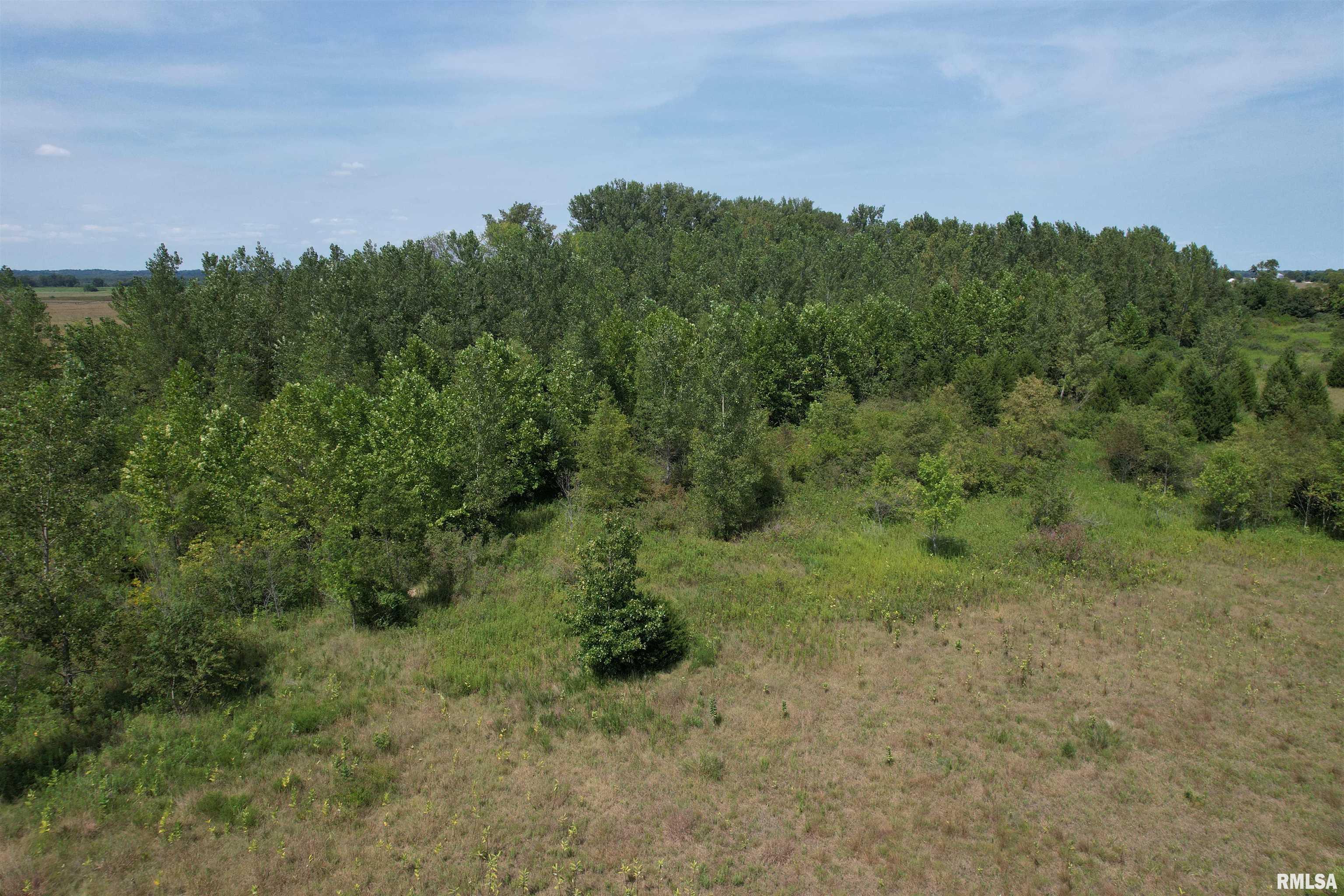 Earl Lovekamp Road Arenzville, IL 62611 - Photo 9 of 14