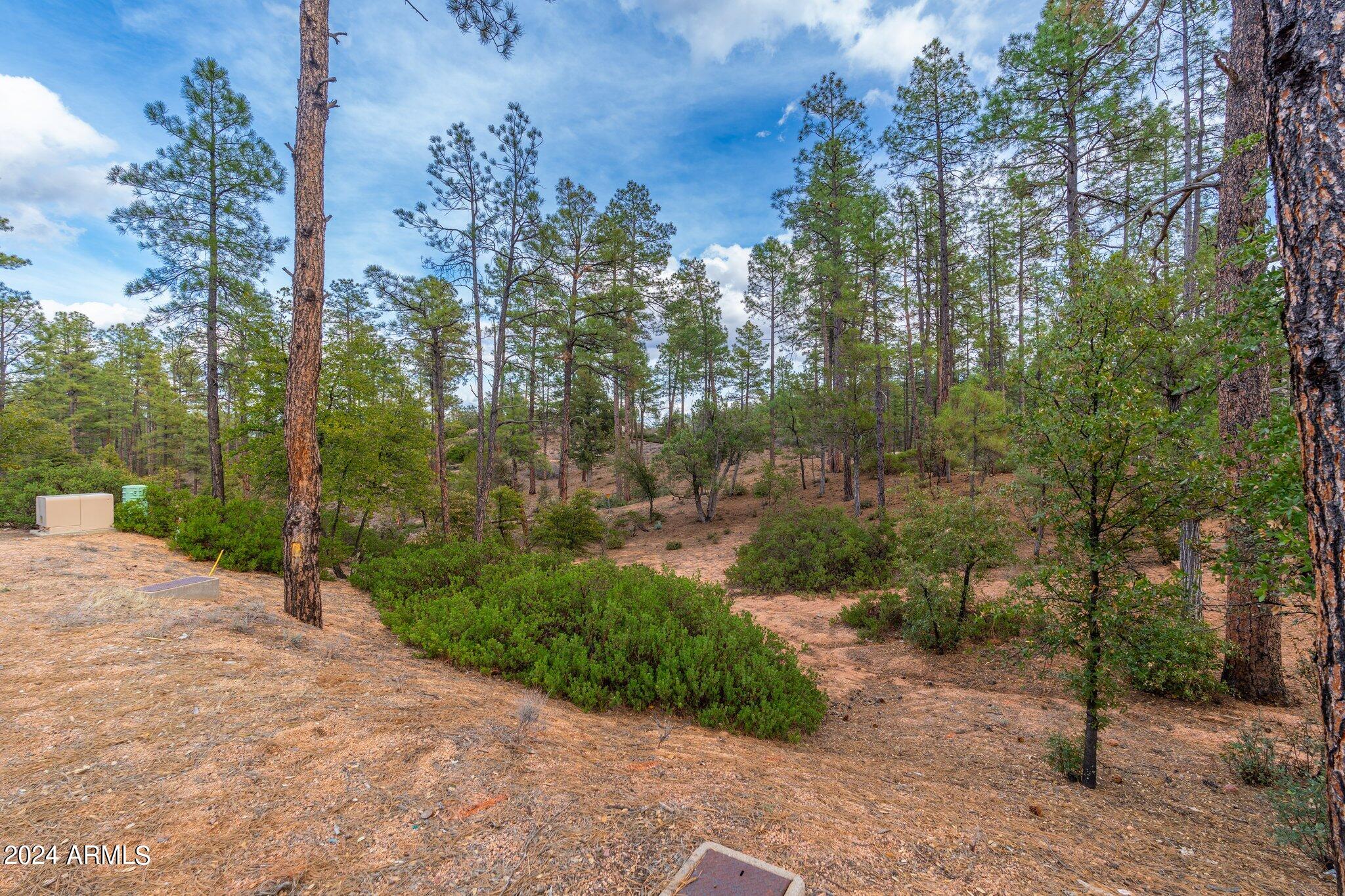 3109 East Game Trail, Unit 250 Payson, AZ 85541 - Photo 3 of 18 a view of a yard with plants and large trees