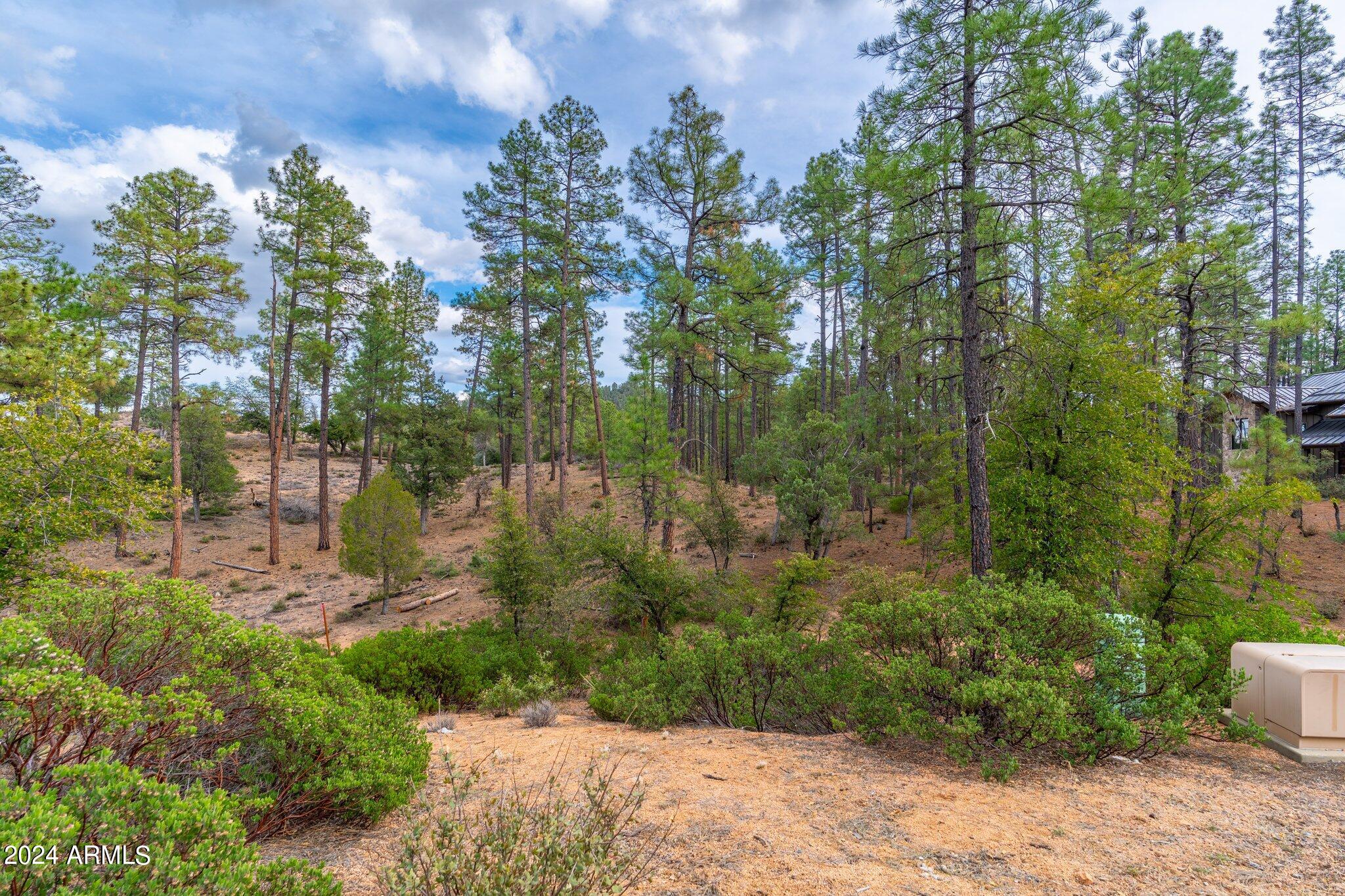 3109 East Game Trail, Unit 250 Payson, AZ 85541 - Photo 4 of 18 a view of a lake with a house in background