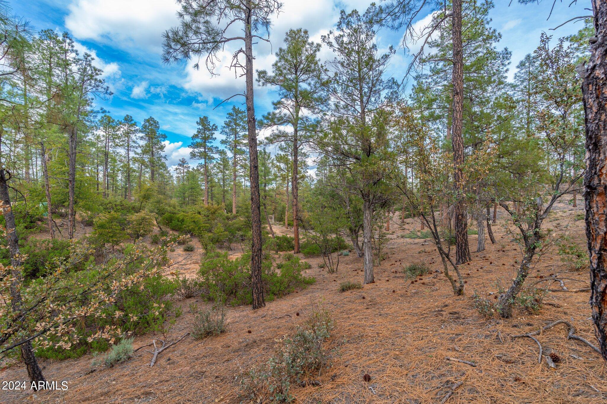 3109 East Game Trail, Unit 250 Payson, AZ 85541 - Photo 5 of 18 a view of a forest with trees