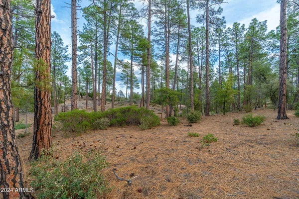 a view of a out door space area