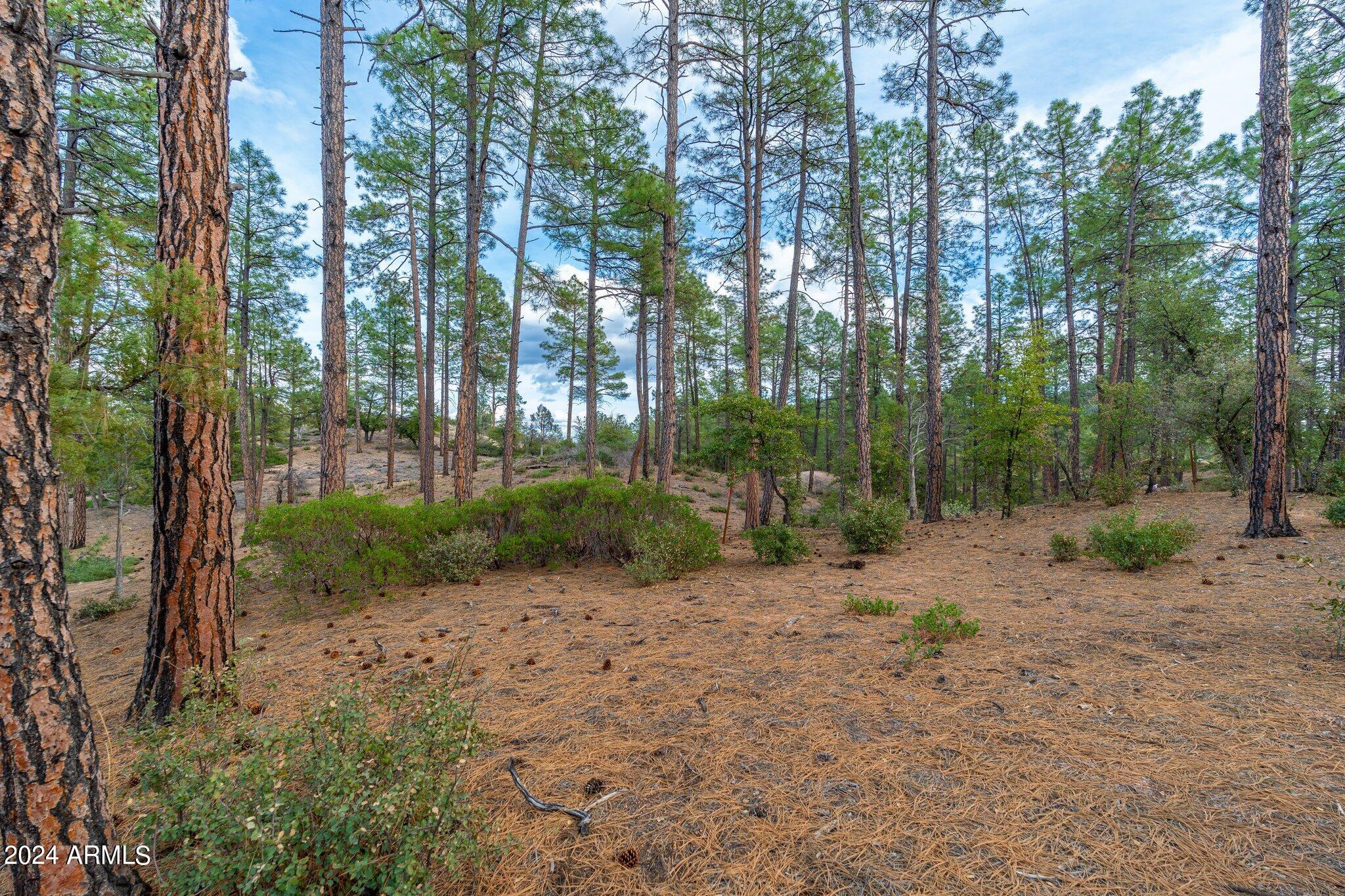 3109 East Game Trail, Unit 250 Payson, AZ 85541 - Photo 6 of 18 a view of a out door space area