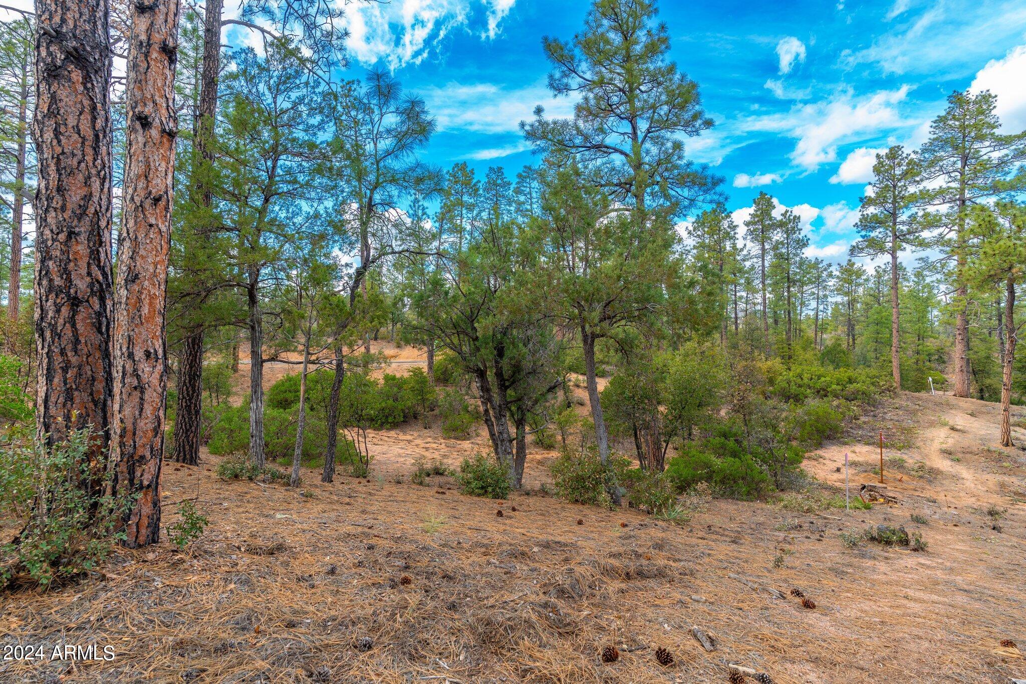 3109 East Game Trail, Unit 250 Payson, AZ 85541 - Photo 7 of 18 a view of a tree in a yard