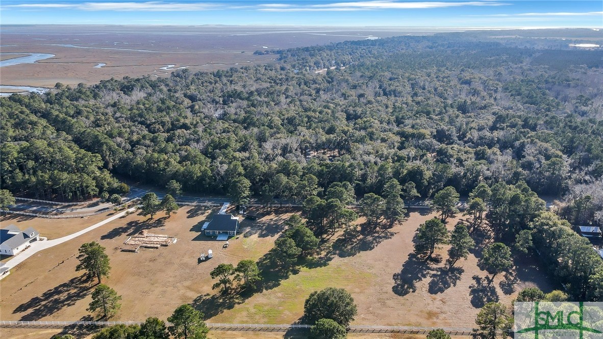Lot 4 Lake Pamona Road Midway, GA 31320 - Photo 4 of 9 Gallery Image 4