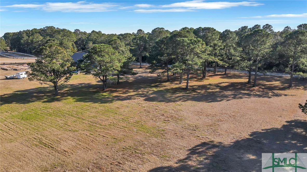 Lot 4 Lake Pamona Road Midway, GA 31320 - Photo 6 of 9 Gallery Image 6