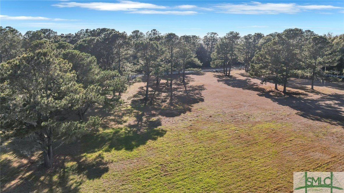 Lot 4 Lake Pamona Road Midway, GA 31320 - Photo 7 of 9 Gallery Image 7