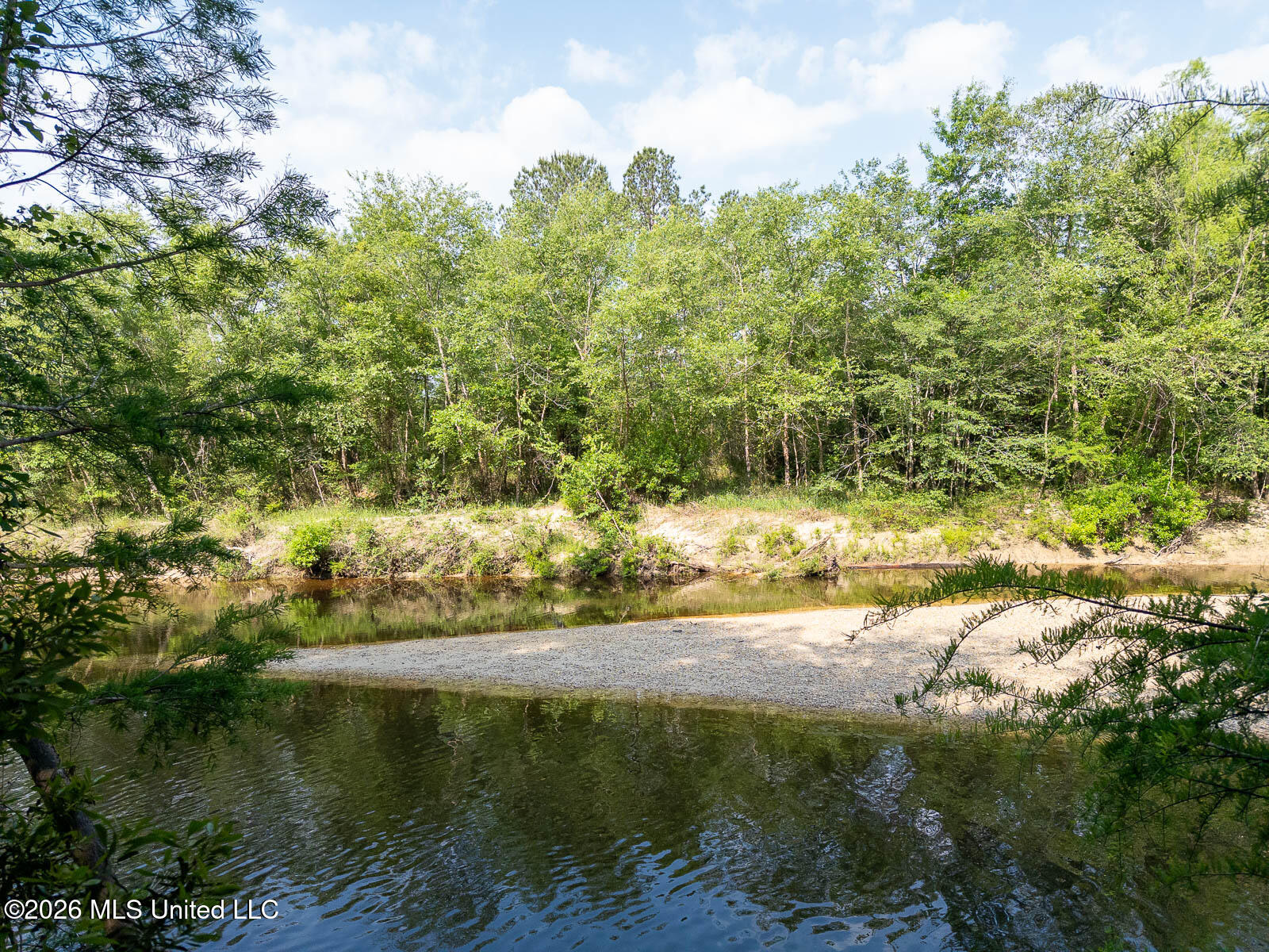 Perry Lake Road Beaumont, MS 39423 - Photo 3 of 16 10-acres-Perry-County-Thompson-Creek-3-c