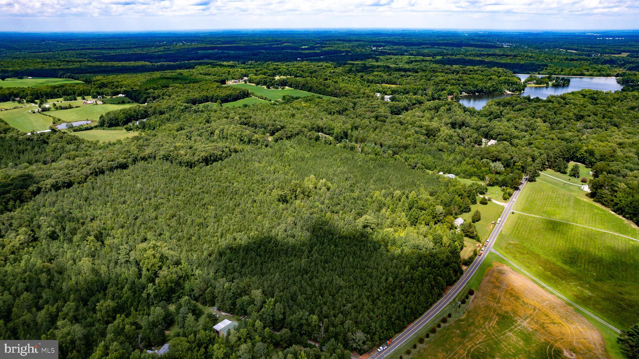 25.5-acres Ladysmith Road Ruther Glen, VA 22546 - Photo 29 of 42 Gallery Image 29