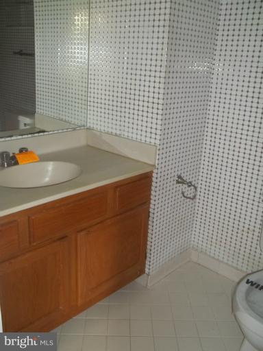 13001 Conductor Way, Unit 1 Silver Spring, MD 20904 - Photo 8 of 9 Bath (Master)