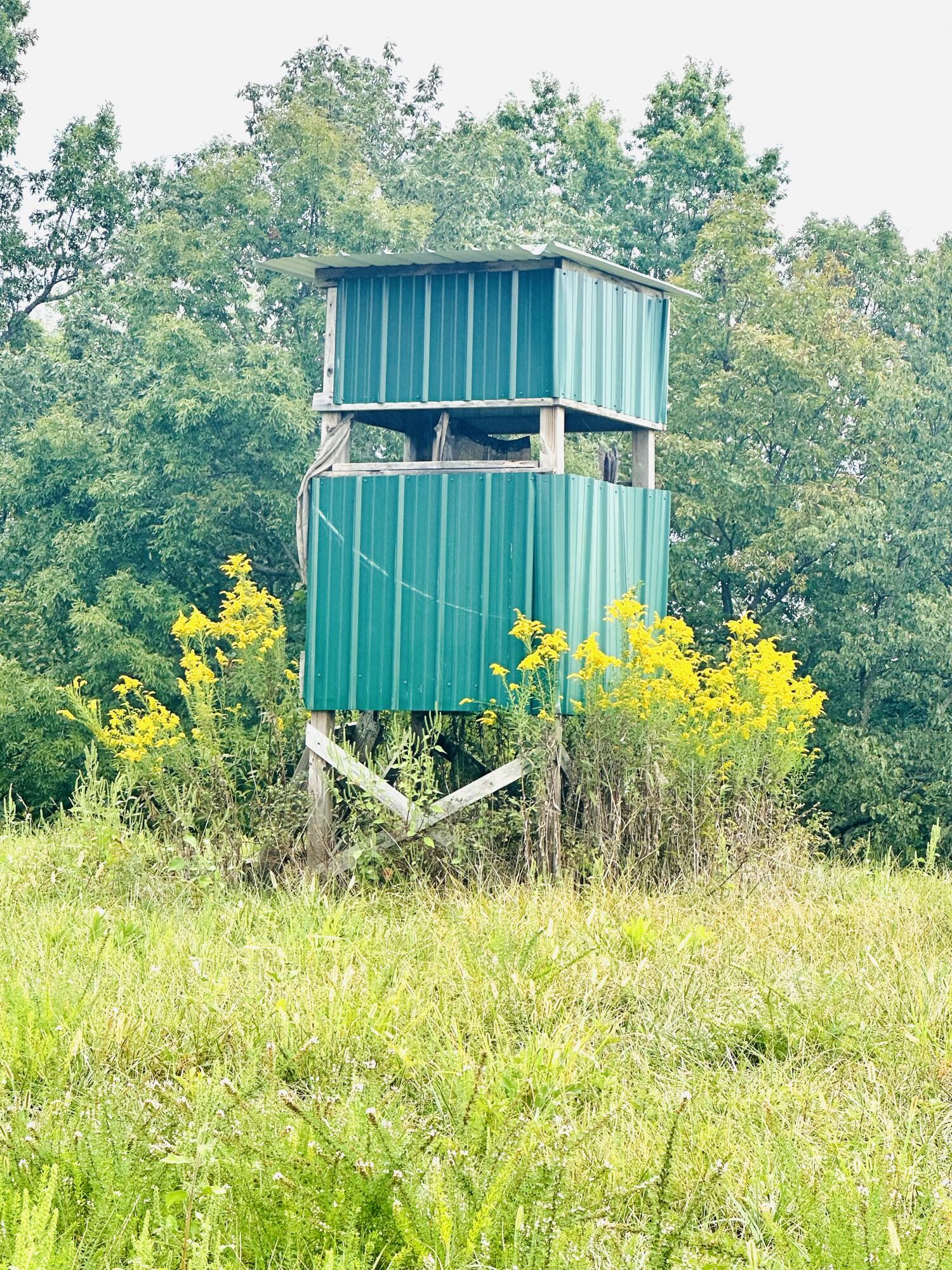 203 Chaplin Road Willisburg, KY 40078 - Photo 75 of 77 IMG_8304