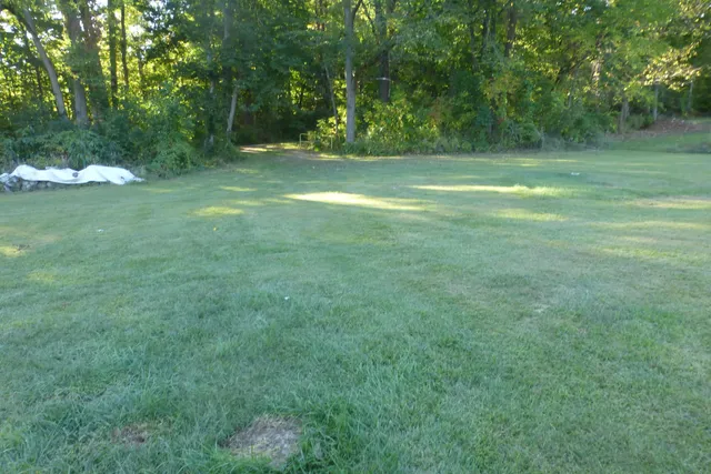 $65,000 | 15646 West Clear Lake Road, Buchanan, MI 49107