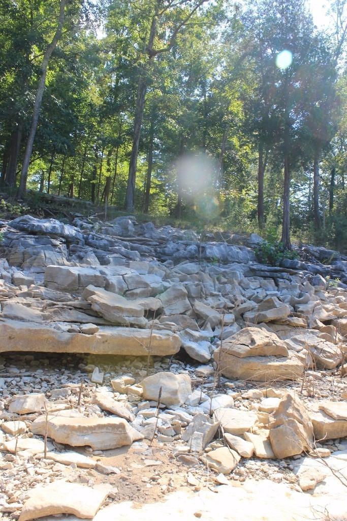 274 Echo Point Road Bronston, KY 42518 - Photo 16 of 19 Additional Photo