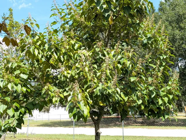 $185,000 | 215 Maltas Avenue, Interlachen, FL 32148