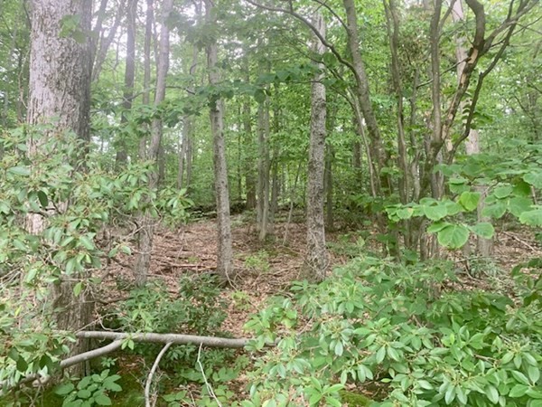 Lot 5 Richardson Road Ashby, MA 01431 - Photo 1 of 3 Gallery Image 1