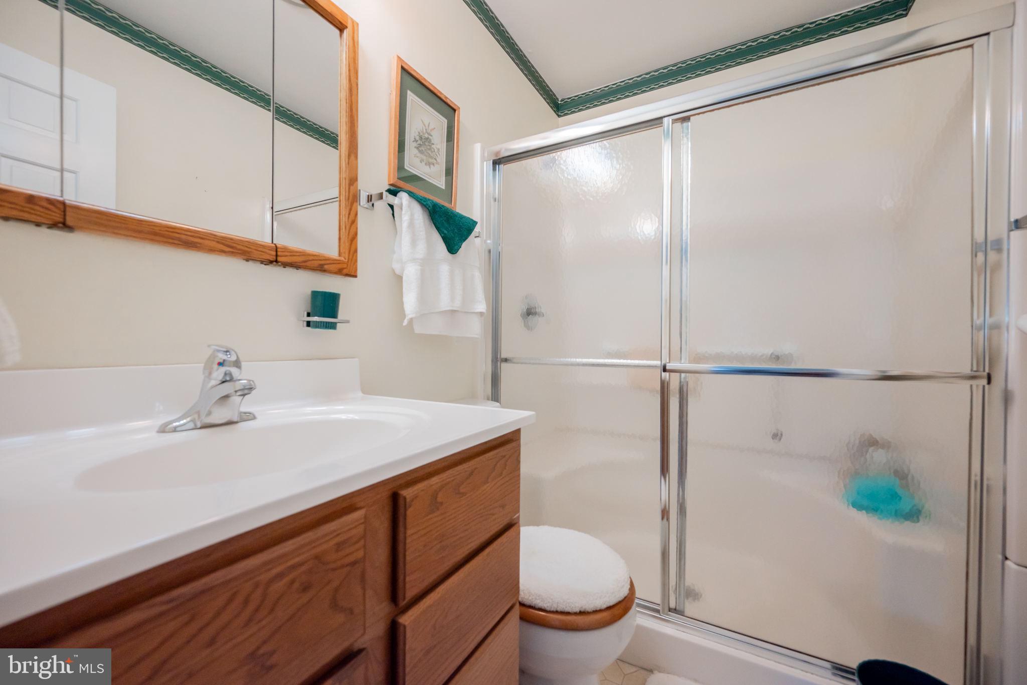 16860 Lancaster Road Lewes, DE 19958 - Photo 42 of 59 Primary Bathroom