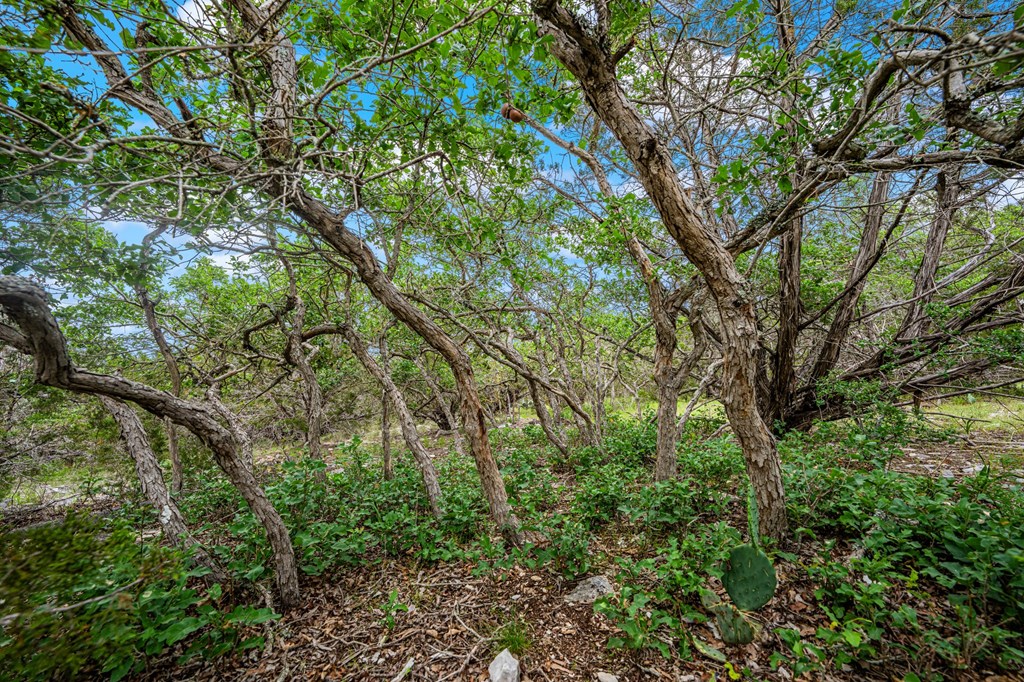 200 Countless Views Drive Kerrville, TX 78028 - Photo 13 of 16