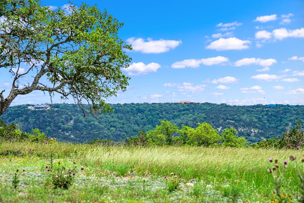 200 Countless Views Drive Kerrville, TX 78028 - Photo 7 of 16