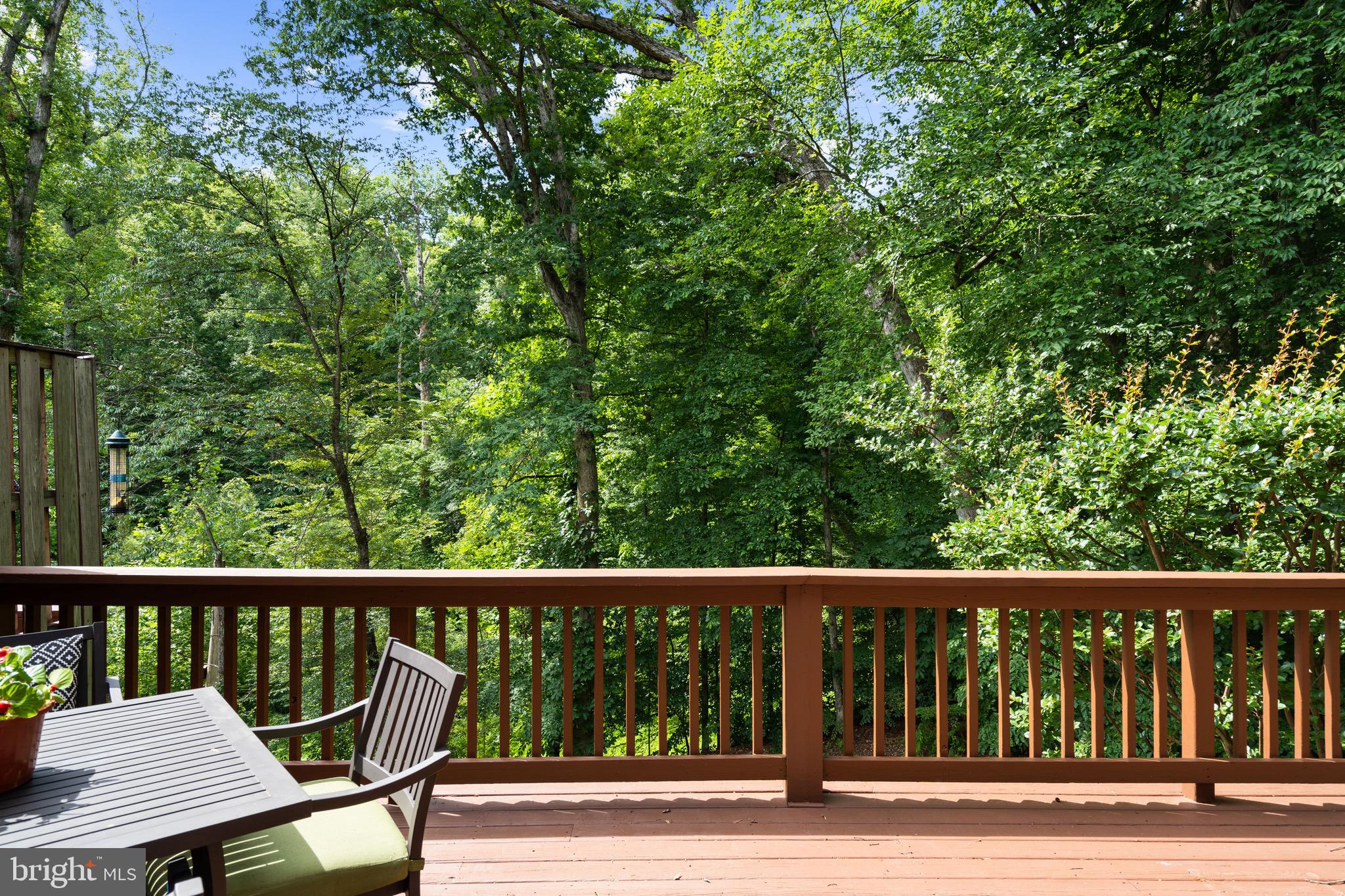 8943 Park Forest Drive Springfield, VA 22152 - Photo 32 of 74 Private deck overlooking the trees