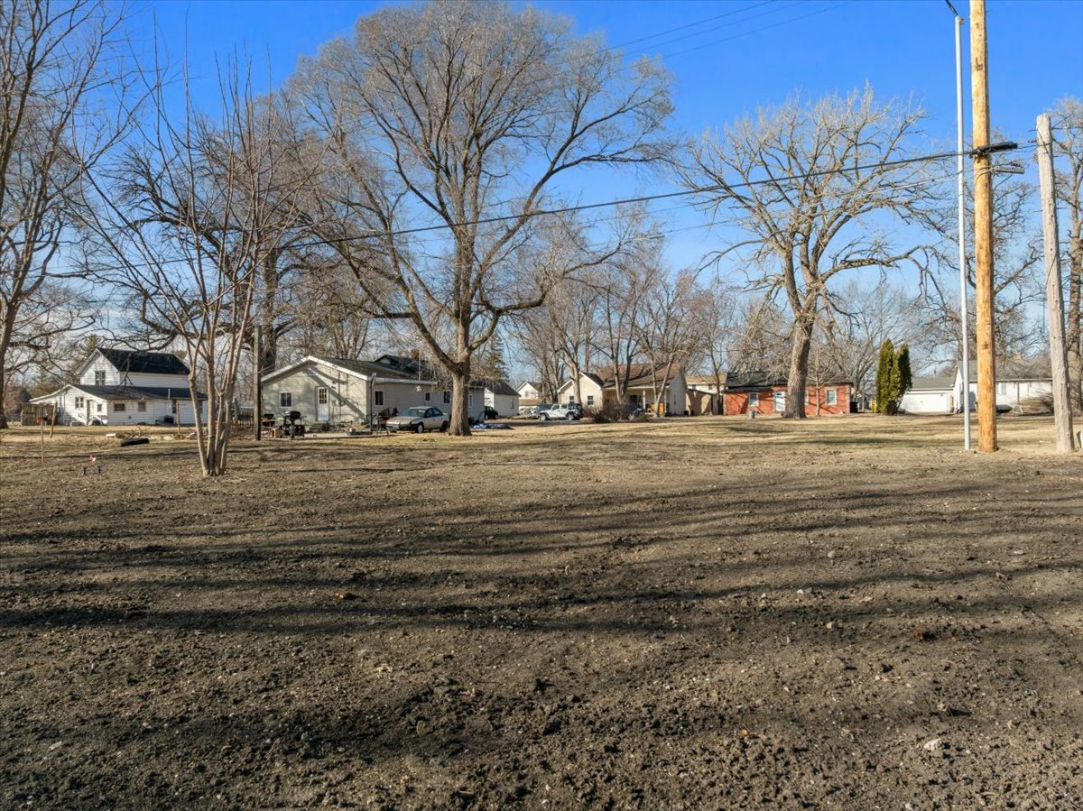313 East Martin Street Forrest, IL 61741 - Photo 50 of 50 a view of dirt yard with large trees