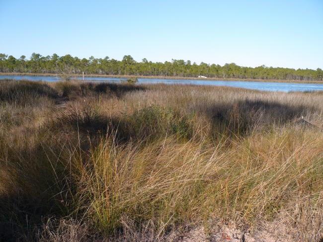 Gorham Road Pensacola, FL 32507 - Photo 1 of 6 Gallery Image 1