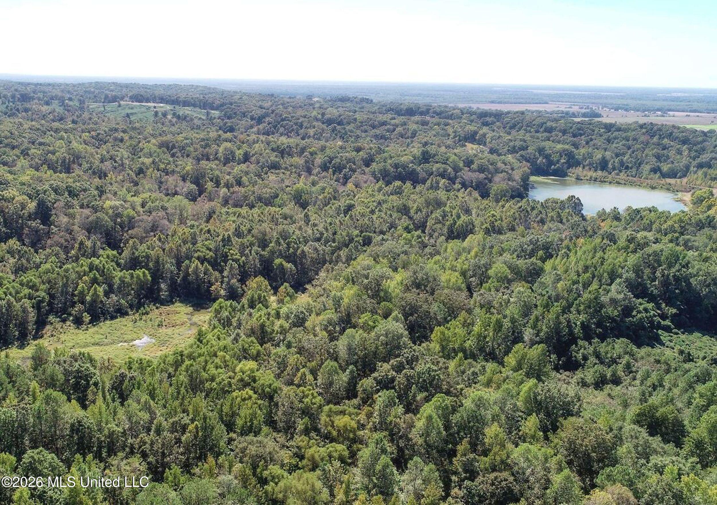 173 Cascilla Road Holcomb, MS 38940 - Photo 15 of 67 3csrdg9