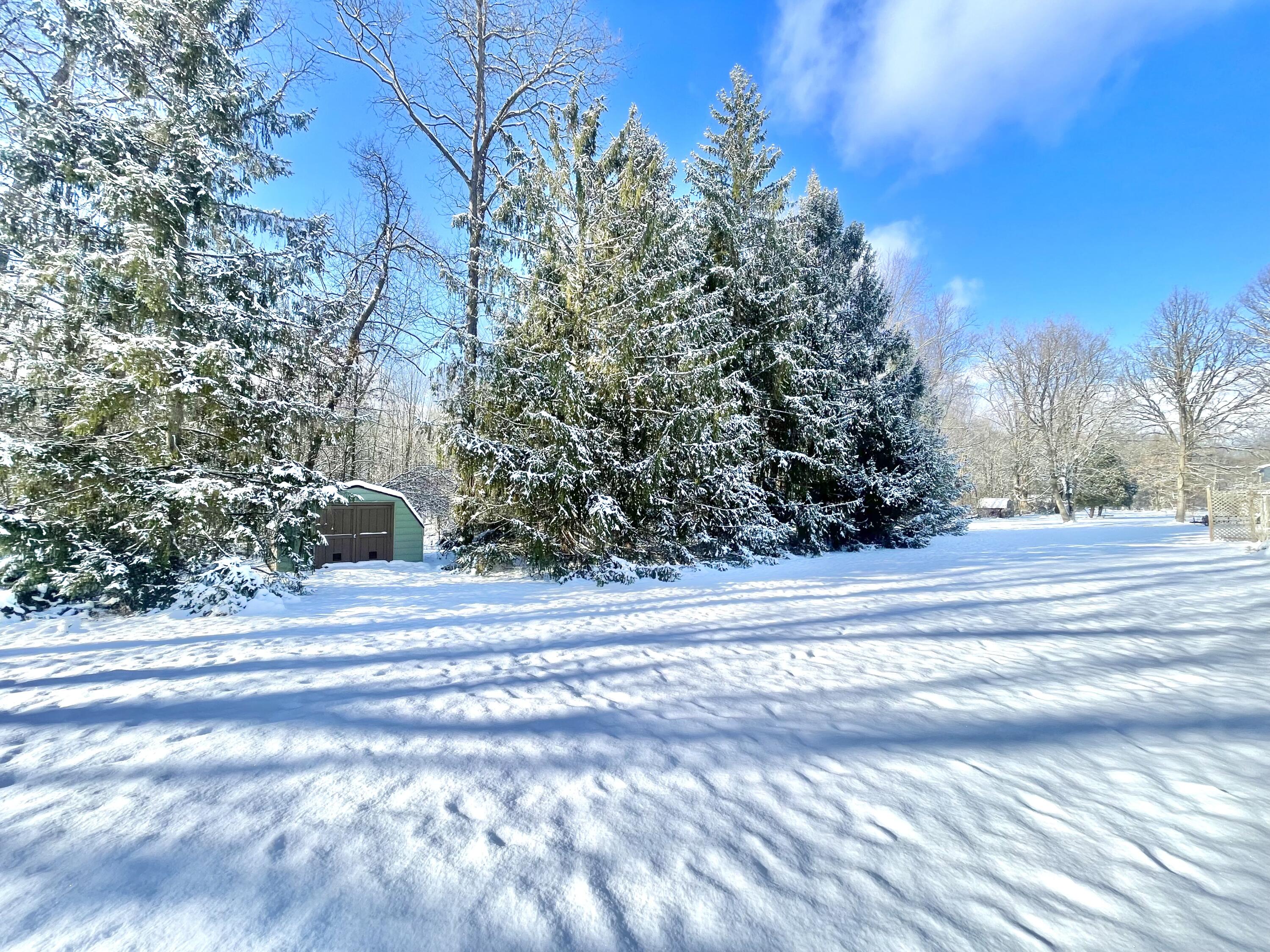 1956 Trinity Lane Jackson, MI 49201 - Photo 34 of 38 IMG_0499