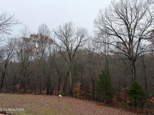 $1,250 | 152 Country Way Drive, La Follette, TN 37766