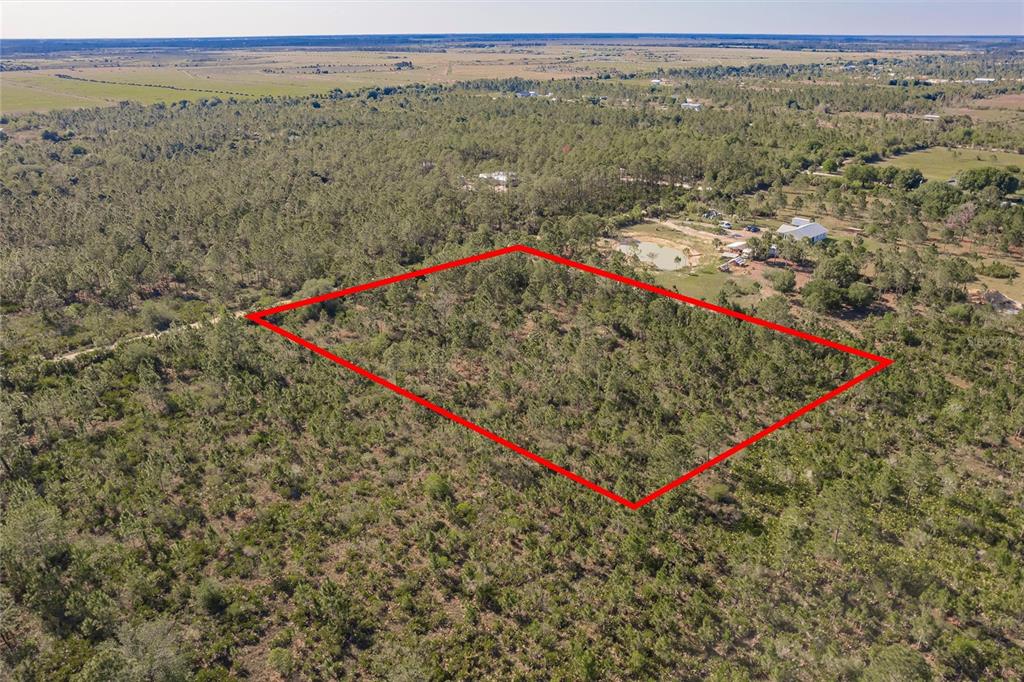 50448 Bermont Road Punta Gorda, FL 33982 - Photo 6 of 12 a view of a dry yard with mountain