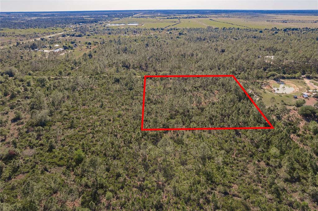 50448 Bermont Road Punta Gorda, FL 33982 - Photo 7 of 12 a view of a field with a mountain and trees in the background