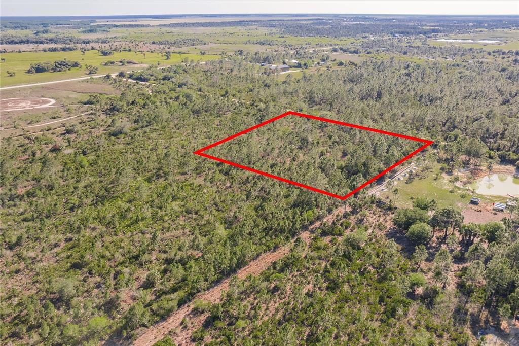 50448 Bermont Road Punta Gorda, FL 33982 - Photo 8 of 12 a view of a mountain from a yard