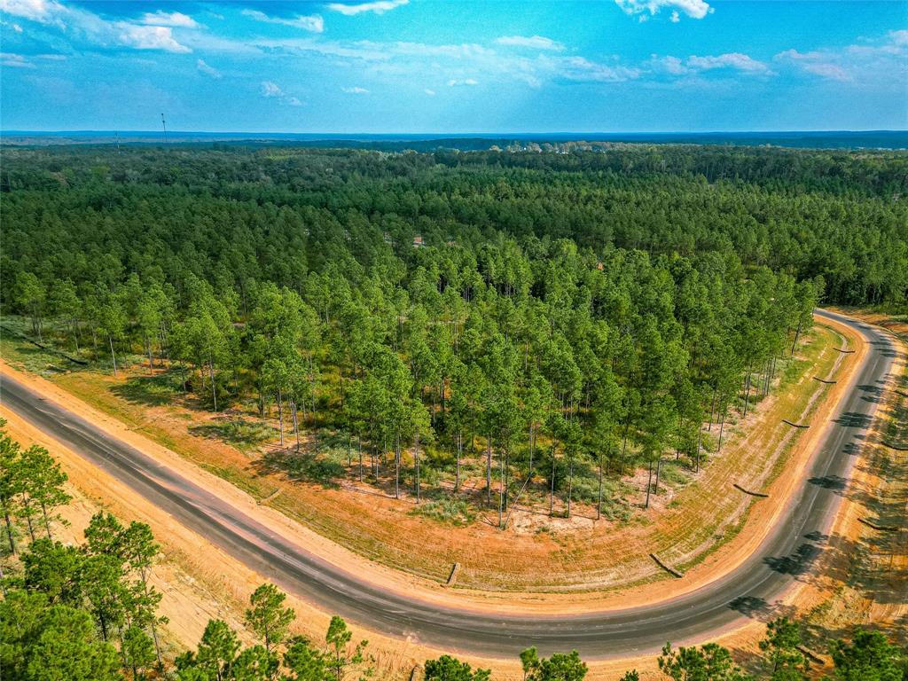 204 Millwood Loop, Unit 50 Minden, LA 71055 - Photo 17 of 22 a view of a yard with a sink