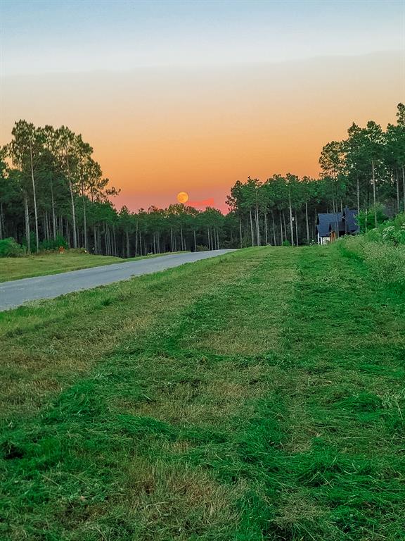 204 Millwood Loop, Unit 50 Minden, LA 71055 - Photo 4 of 22 a view of grassy field with trees in the background