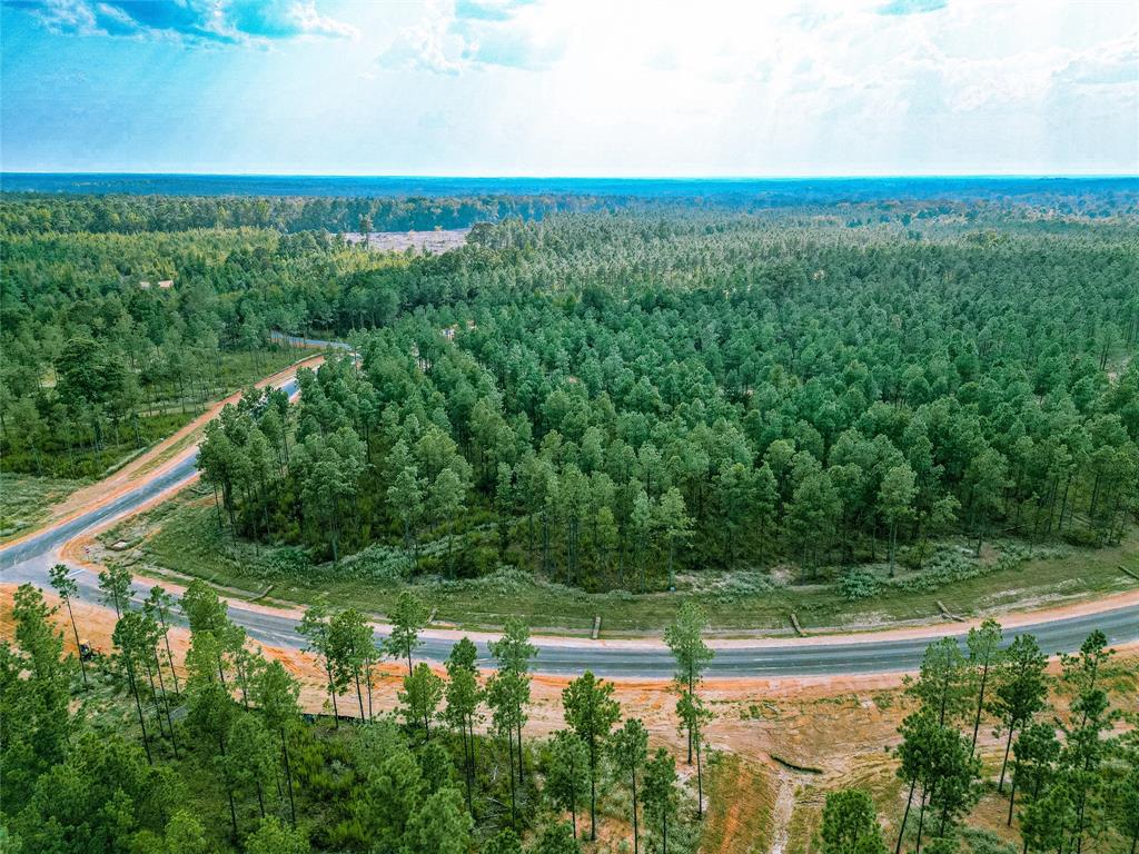 204 Millwood Loop, Unit 50 Minden, LA 71055 - Photo 8 of 22 a view of a garden with an outdoor space