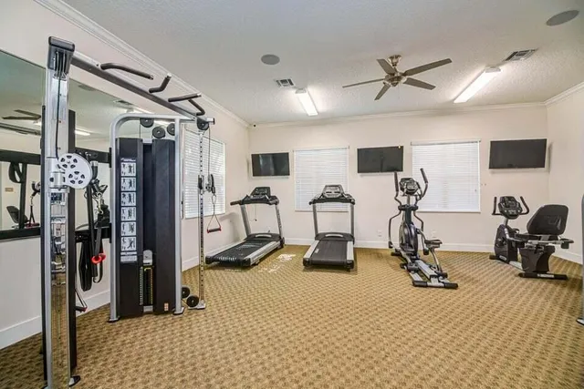 a living room with furniture a rug and a couch