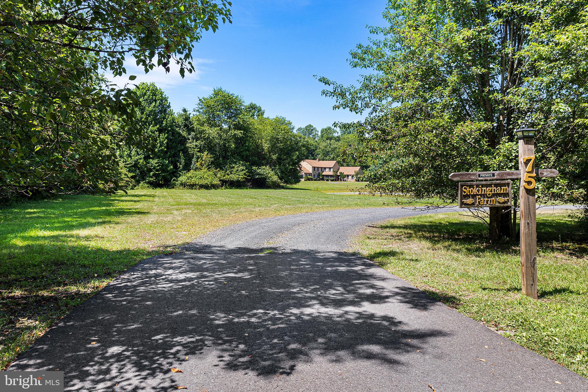 75 Eayrestown Road Medford, NJ 08055 - Photo 54 of 64 a view of a yard with of trees
