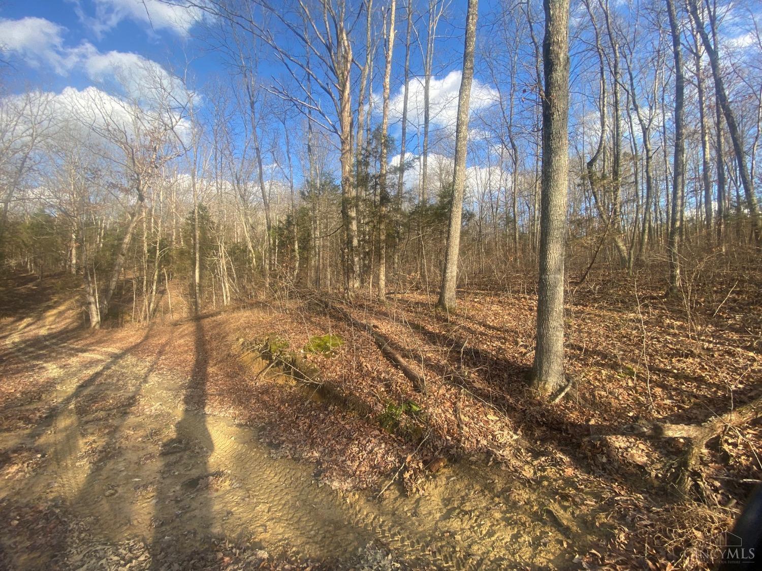 41-ac Chestnut Ridge Road West Union, OH 45693 - Photo 9 of 22