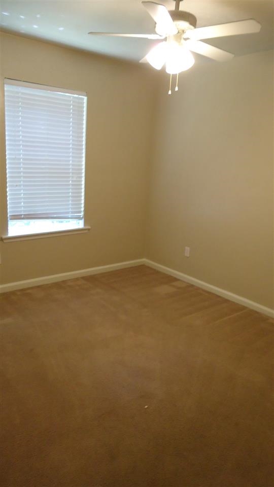 225 Rivoli Road, Unit 2 Tallahassee, FL 32304 - Photo 9 of 10