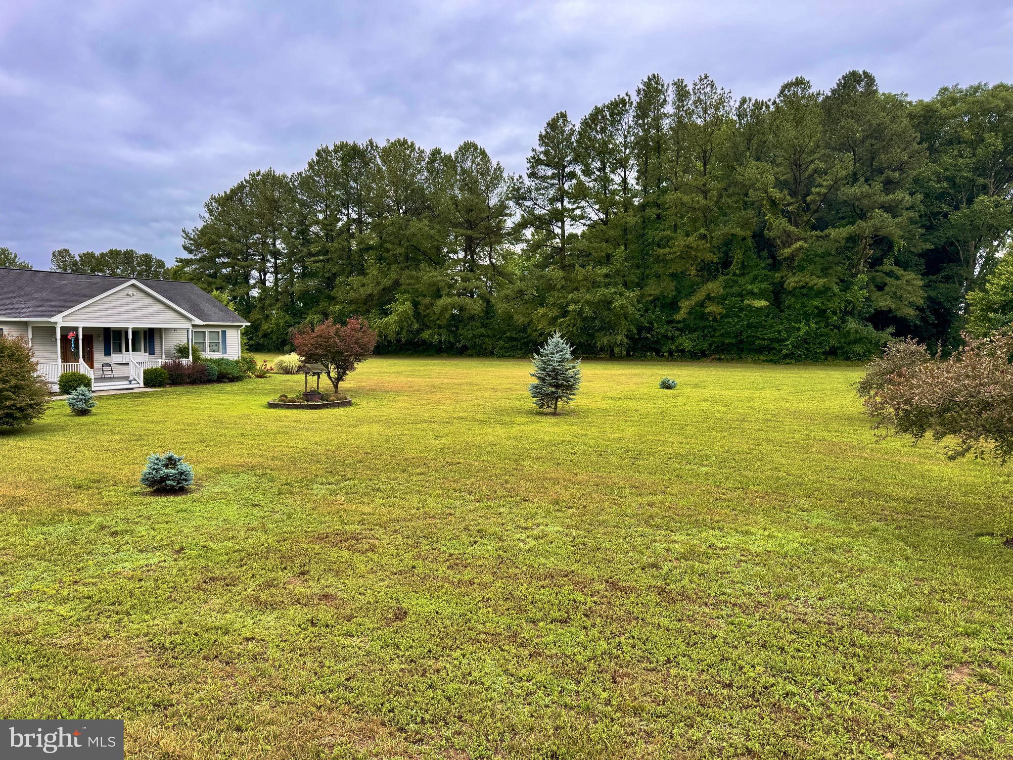 1212 Rabbit Hill Road Church Hill, MD 21623 - Photo 3 of 45