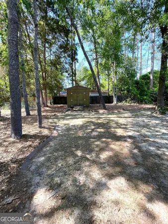 a dirt road view with a trees in the background
