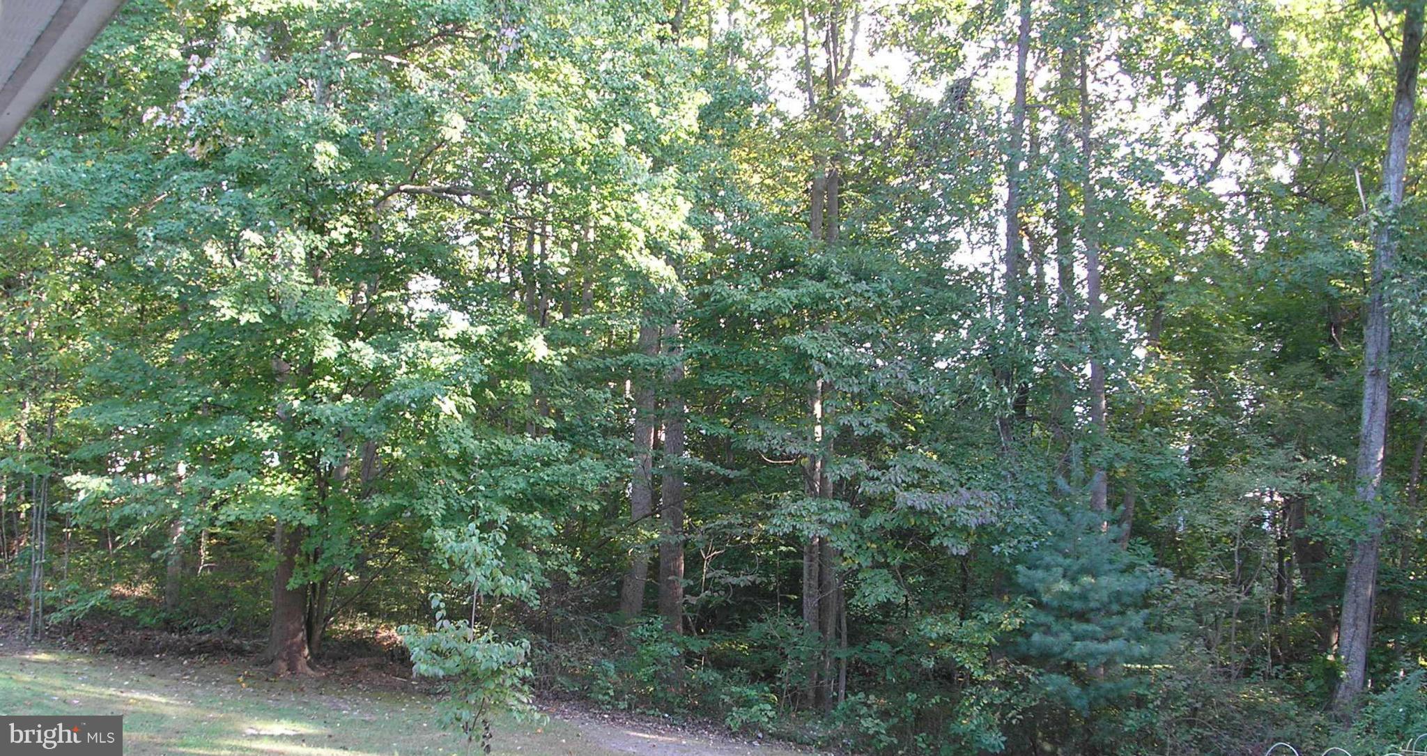 Forest Lane King George, VA 22485 - Photo 4 of 8 View