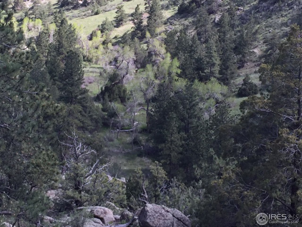 Haystack Gulch