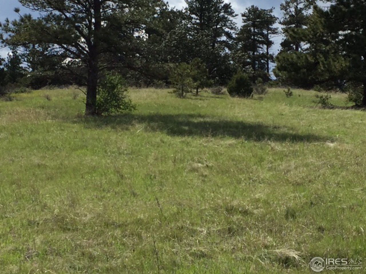 South Running Deer Road South Livermore, CO 80536 - Photo 2 of 4 Meadow Building Site