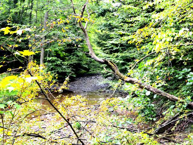 2317 Jackson Run Road Warren, PA 16365 - Photo 28 of 32 Gallery Image 28