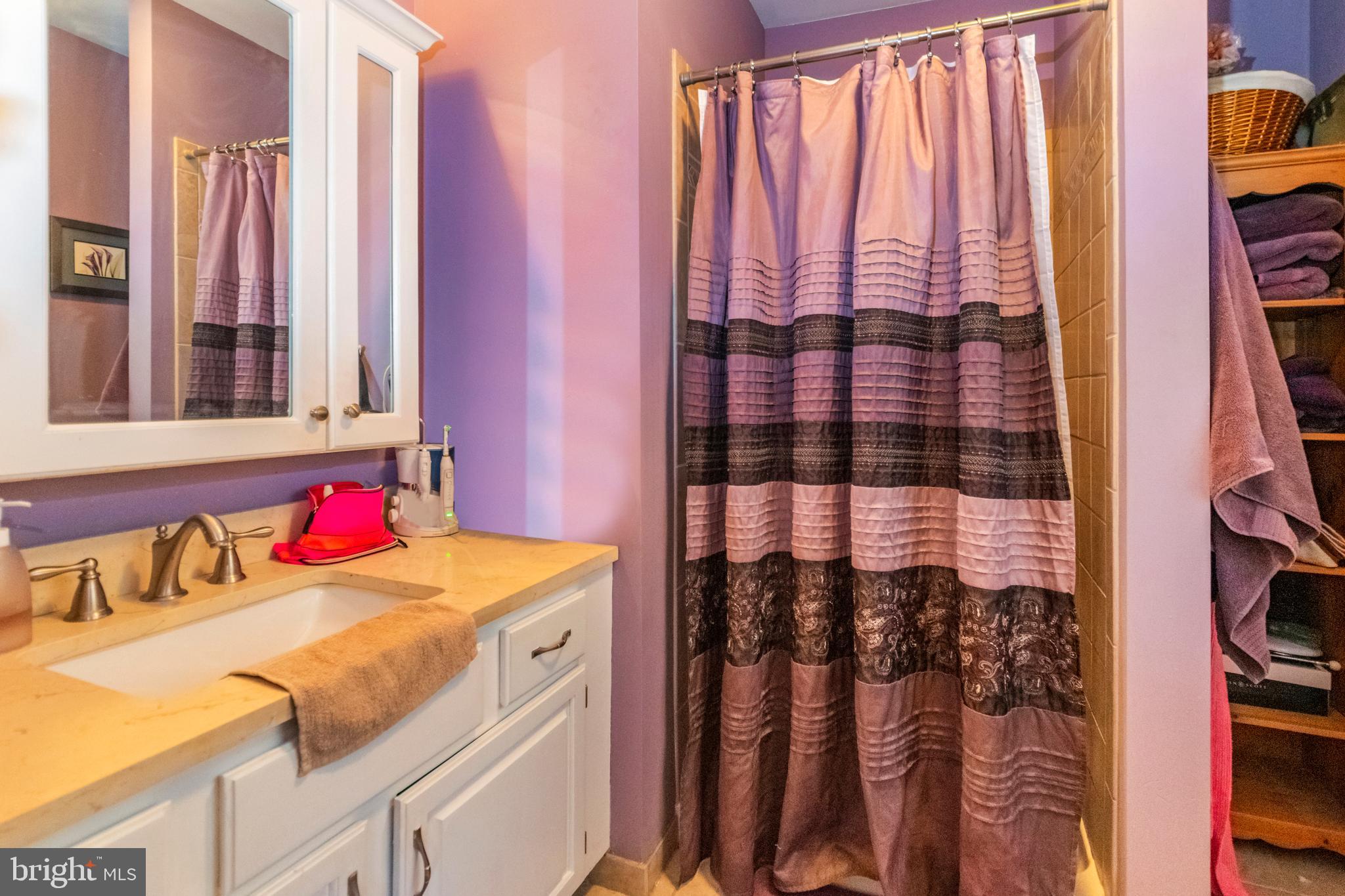 4810 Painted Sky Road Reading, PA 19606 - Photo 16 of 25 Master Bathroom