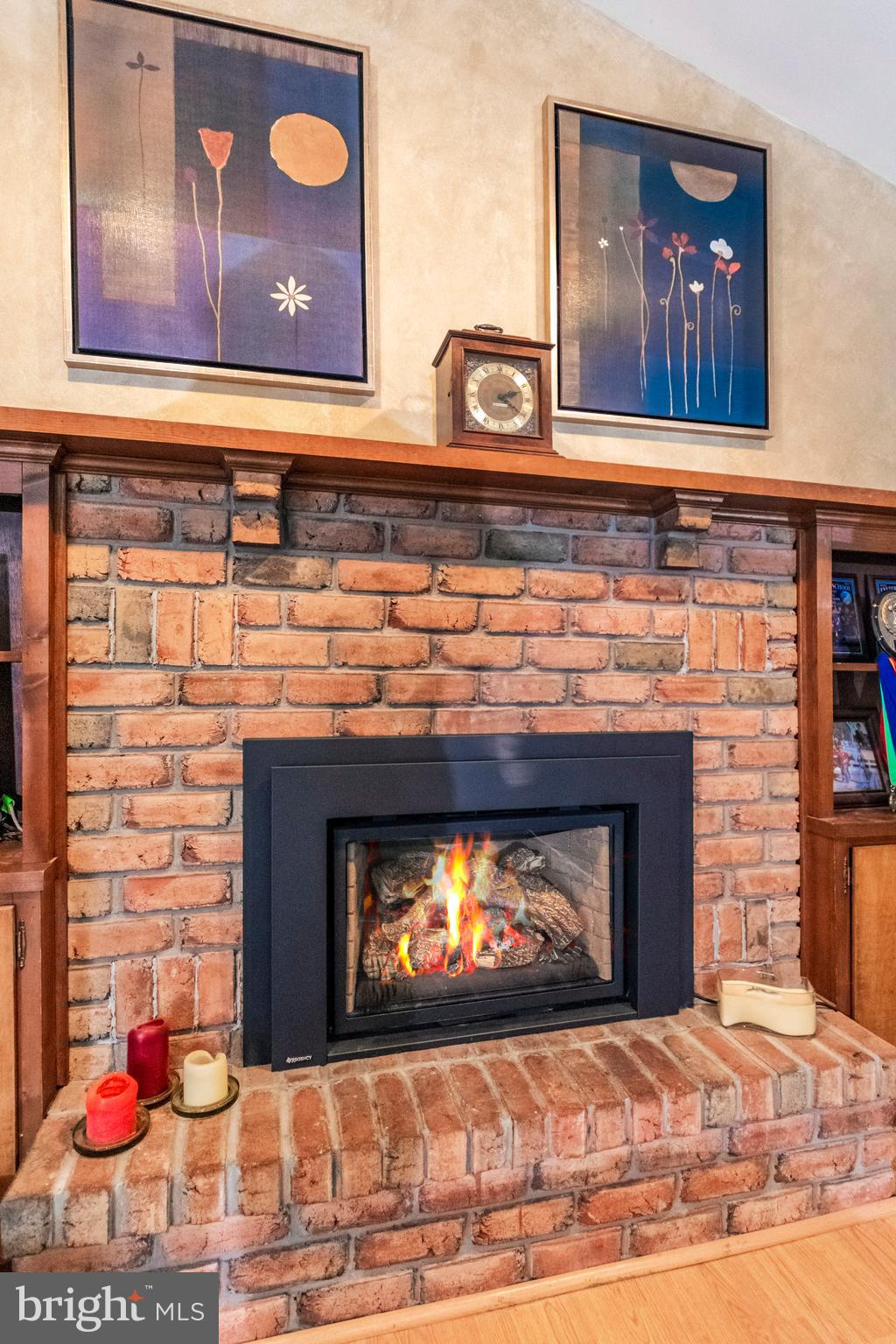 4810 Painted Sky Road Reading, PA 19606 - Photo 9 of 25 Gas Fireplace with Blower and Remote Control