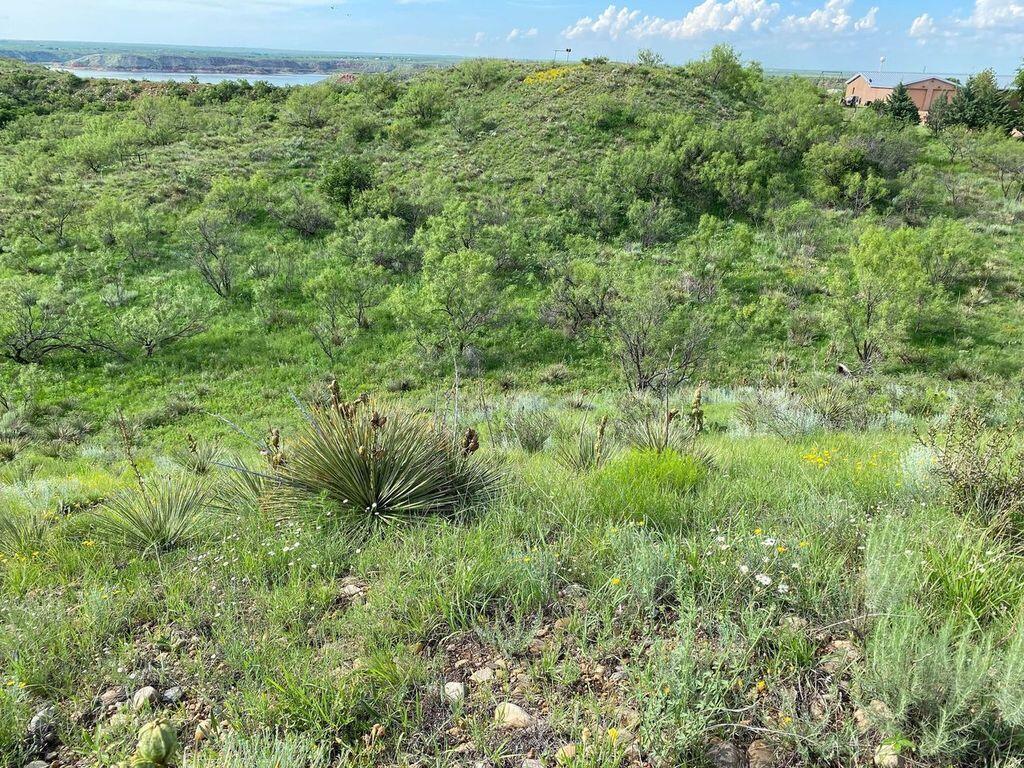 I 9831 Amarillo Rd, Fritch, TX