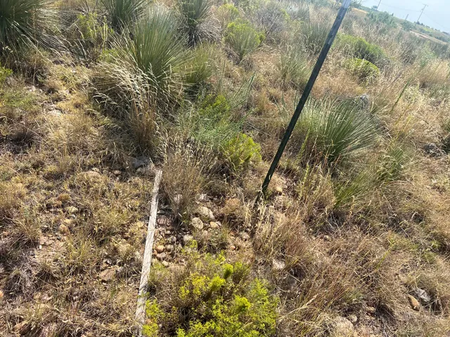 a view of a backyard of the house